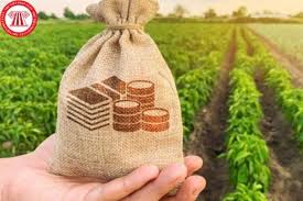 về việc miễn giảm thuế sử dụng đất phi nông nghiệp năm 2025