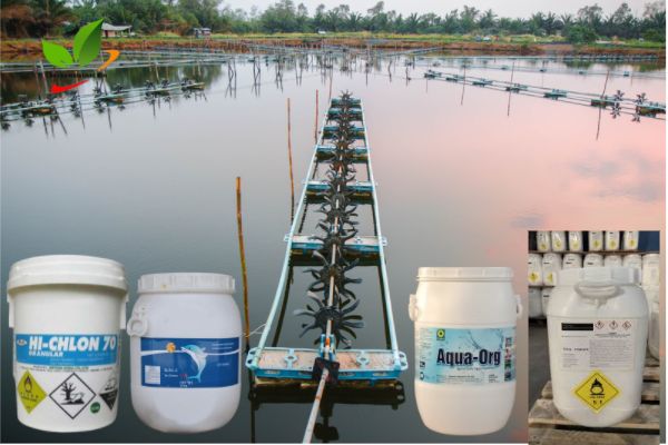 Xin hỗ trợ hóa chất xử lý môi trường vùng nuôi tôm bị dịch bệnh