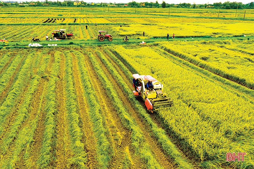 Xã thạch hà kết quả kinh tế - xã hội 6 tháng đầu năm 2025 và nhiệm vụ, giải pháp trọng tâm 6 tháng cuối năm