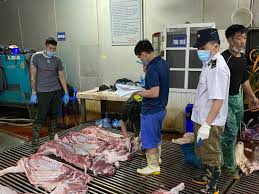 Lịch kiểm tra công tác sản xuất, kinh doanh giết mổ, mua bán, vận chuyển gia súc, gia cầm và sản phẩm gia súc, gia cầm năm 2025