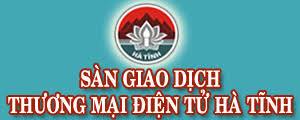 /portal/LinkImage/banner tmdt ha tinh_110015.jpeg