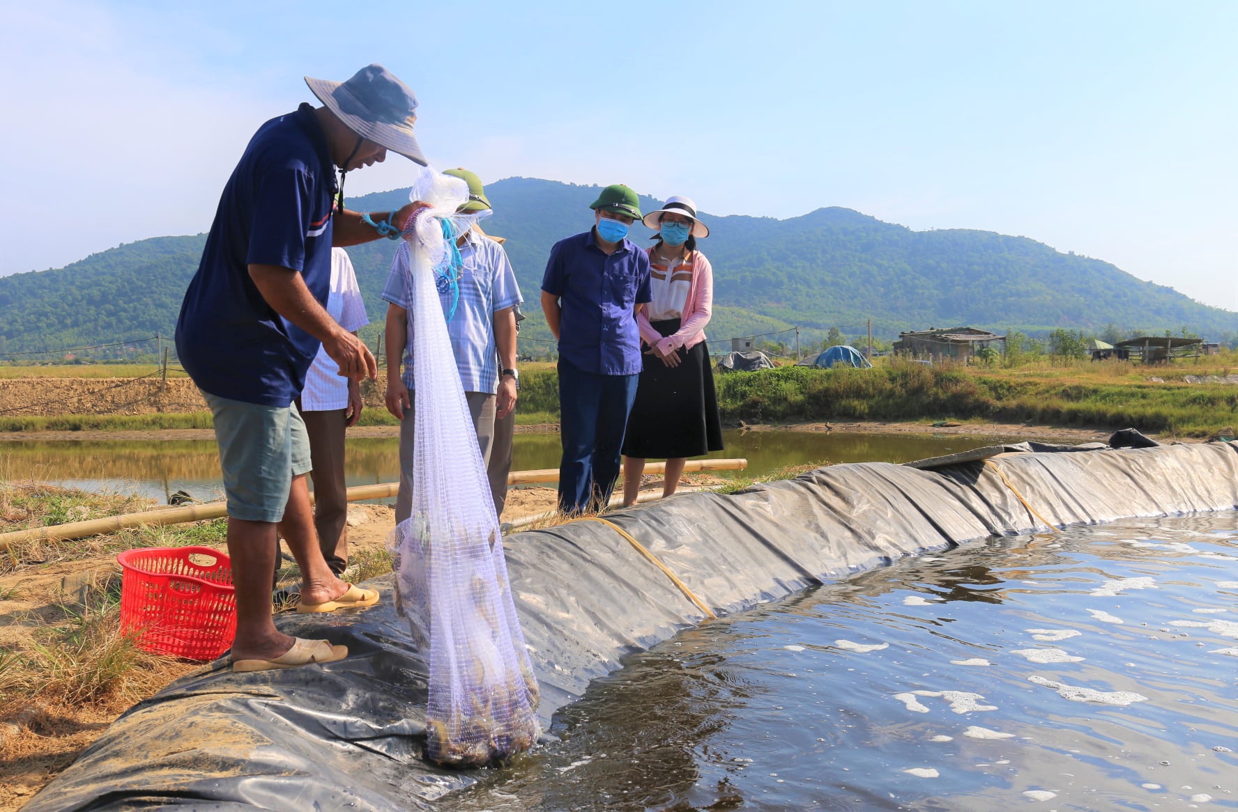 Thạch Hà hỗ trợ 4 mô hình nuôi tôm thâm canh sử dụng chế phẩm sinh học bước đầu khẳng định hiệu quả