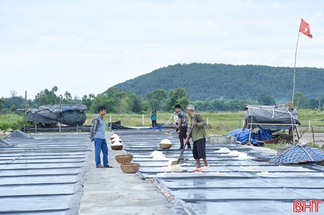 Sản xuất muối bằng phương pháp lót bạt - hiệu quả cao nhưng khó nhân rộng