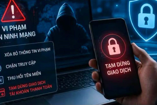 Trách Nhiệm Của Tổ Chức, Cá Nhân Khi Soạn Thảo, Đăng Tải, Phát Tán Thông Tin Trên Không Gian Mạng Theo Nghị Định 327/2026/NĐ-CP Ngày 19/8/2026 