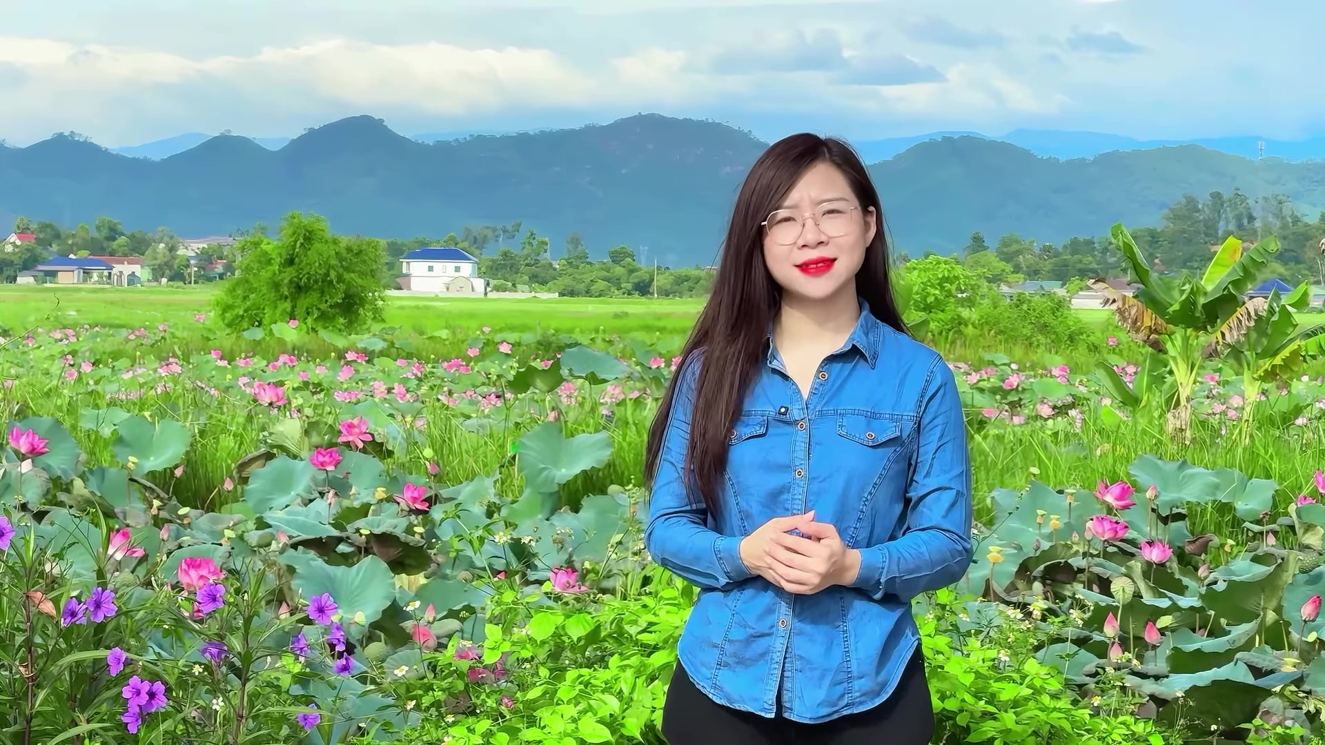 Đầm sen Nam Thanh vào mùa khoe sắc