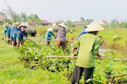Thôn Hội Cát ra quân vớt bèo, đảm bảo sản xuất vụ Hè thu 2026