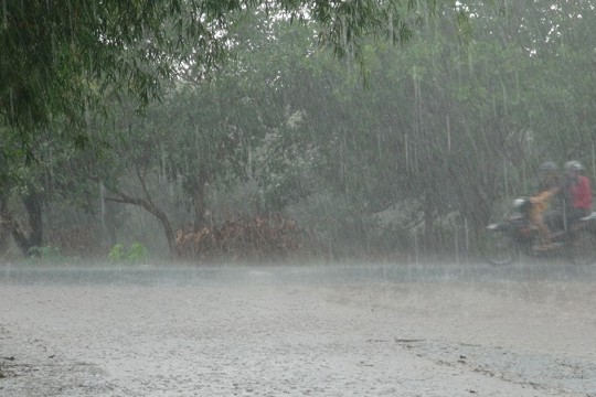 Thạch Hà chủ động ứng phó mưa lớn, ngập úng cục bộ