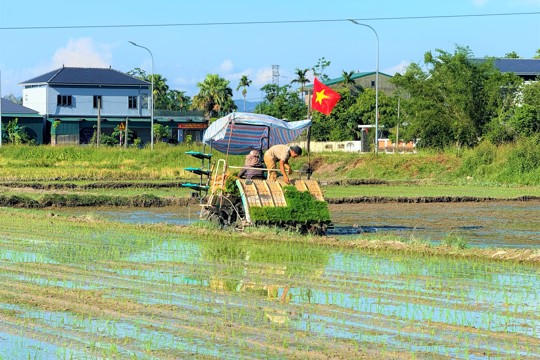 Xã Thạch Hà triển khai mô hình cơ giới hóa đồng bộ trong sản xuất lúa, ứng dụng máy cấy lúa tự hành trên diện tích 13 ha
